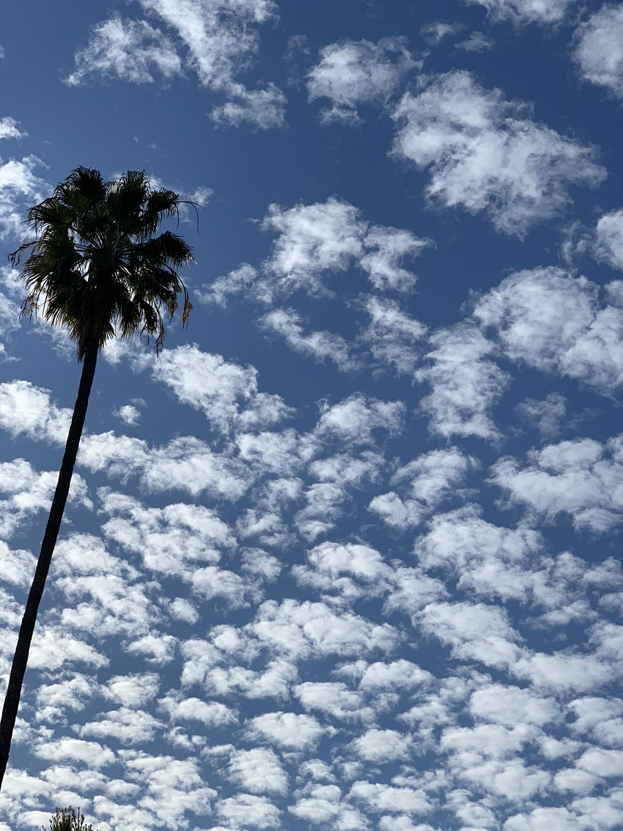 eric_schames's tweet photo. #beautiful day in sunny #LA https://t.co/rYkAgoBIk4