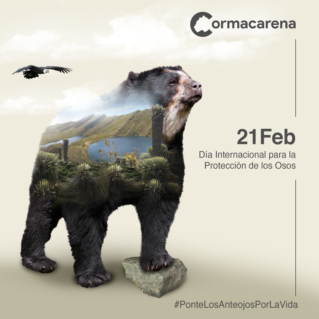 CORMACARENA tweet picture