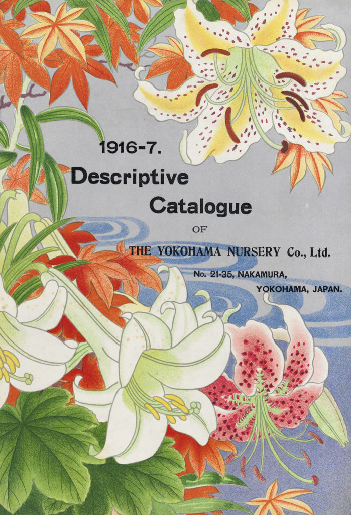RHSLibraries's tweet photo. Some of our stunning collections can be viewed via Google Arts and Culture, including beautiful artwork from our collection of Yokohama Nursery catalogues: https://t.co/3EWZcoH3PK
#SpecialCollections https://t.co/6piPcFK68X