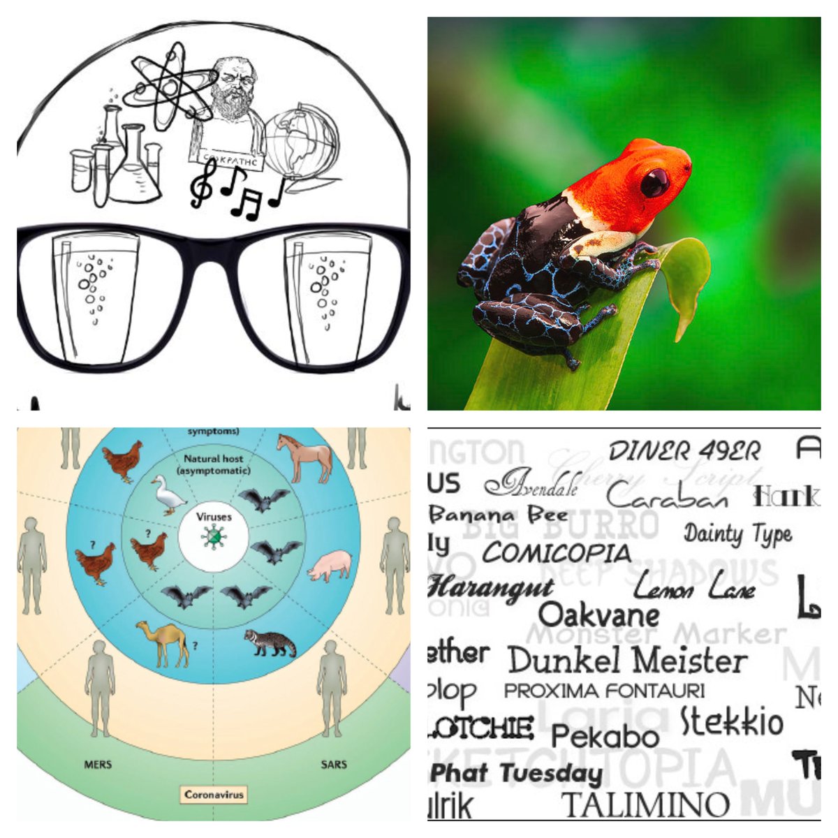 NerdNiteEB's tweet photo. *mic tap* This Monday Feb 24, Nerd Nite in Oakland at @uptownnightclub is GREAT!
Your Brain on Fonts w @connord_y
Animal Toxins w @frogsicles
How Viruses Jump to Humans
w Oscar Negrete+@SandiaLabs
Tix https://t.co/mlEBxb5MiF
RSVP https://t.co/ceeGeB3KPL
https://t.co/FsNIBgT2dg https://t.co/2URohnlduA