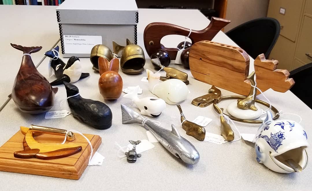 CordArchives's tweet photo. Whale, whale, whale, what do we have here? This collection of whales belonged to former English professor Dr. Ralph Hoppe '54. He taught the novel Moby Dick and collected various whale figurines. Hoppe retired in 1994 after teaching for 34 years. #FindingAidFriday https://t.co/vV5SlN6oys