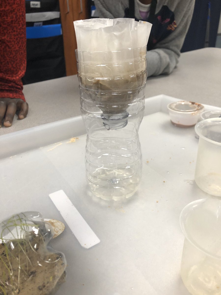 ashleyblemke's tweet photo. Water Retention Investigation #CFISDScience @duryeaschool #LemkeLearning #handsonlearning https://t.co/XqB9z7BEMR