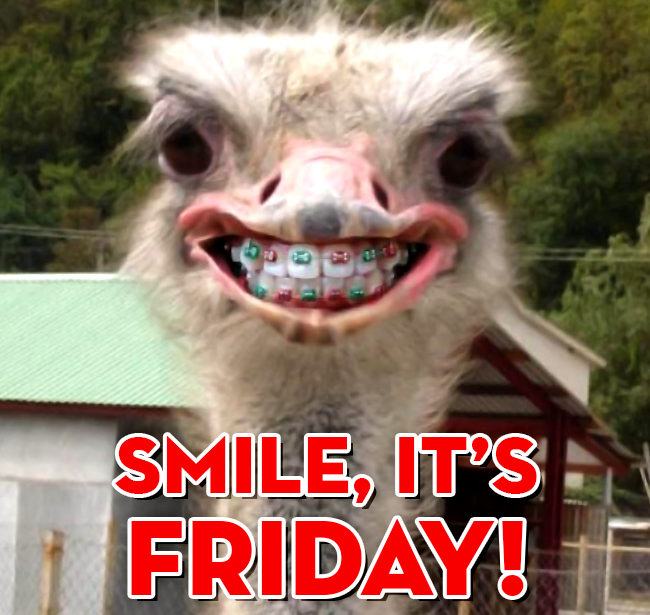 illuminaddental's tweet photo. Happy Friday from Dr. Jou and the team at Illuminada Dental. 
#Friyay #smile #illuminadadental #dentalhumor #yegdentist #yeglocal #FridayFun https://t.co/D1CDsVlvdq