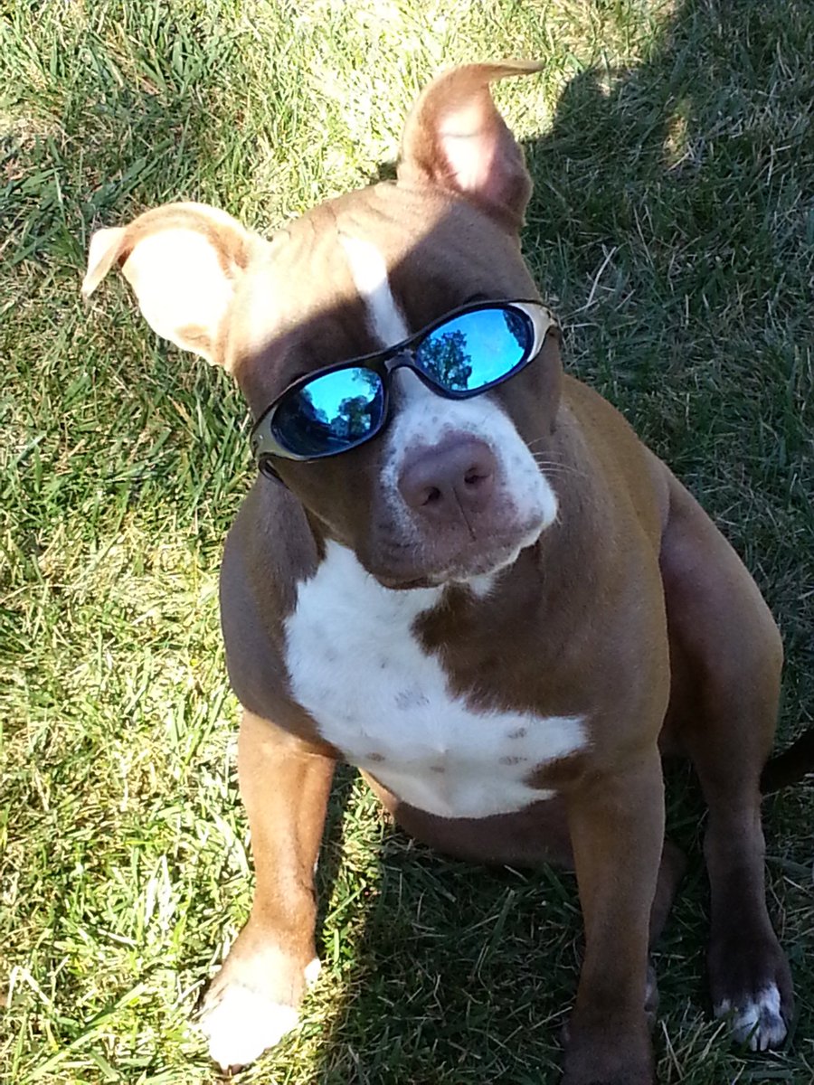 David Martella tweet media