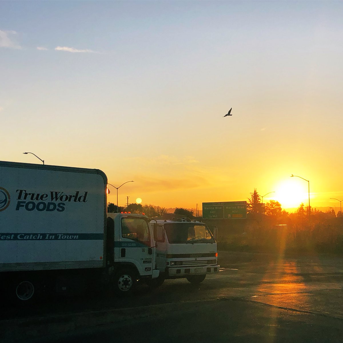 TrueWorldFoodsSF tweet media