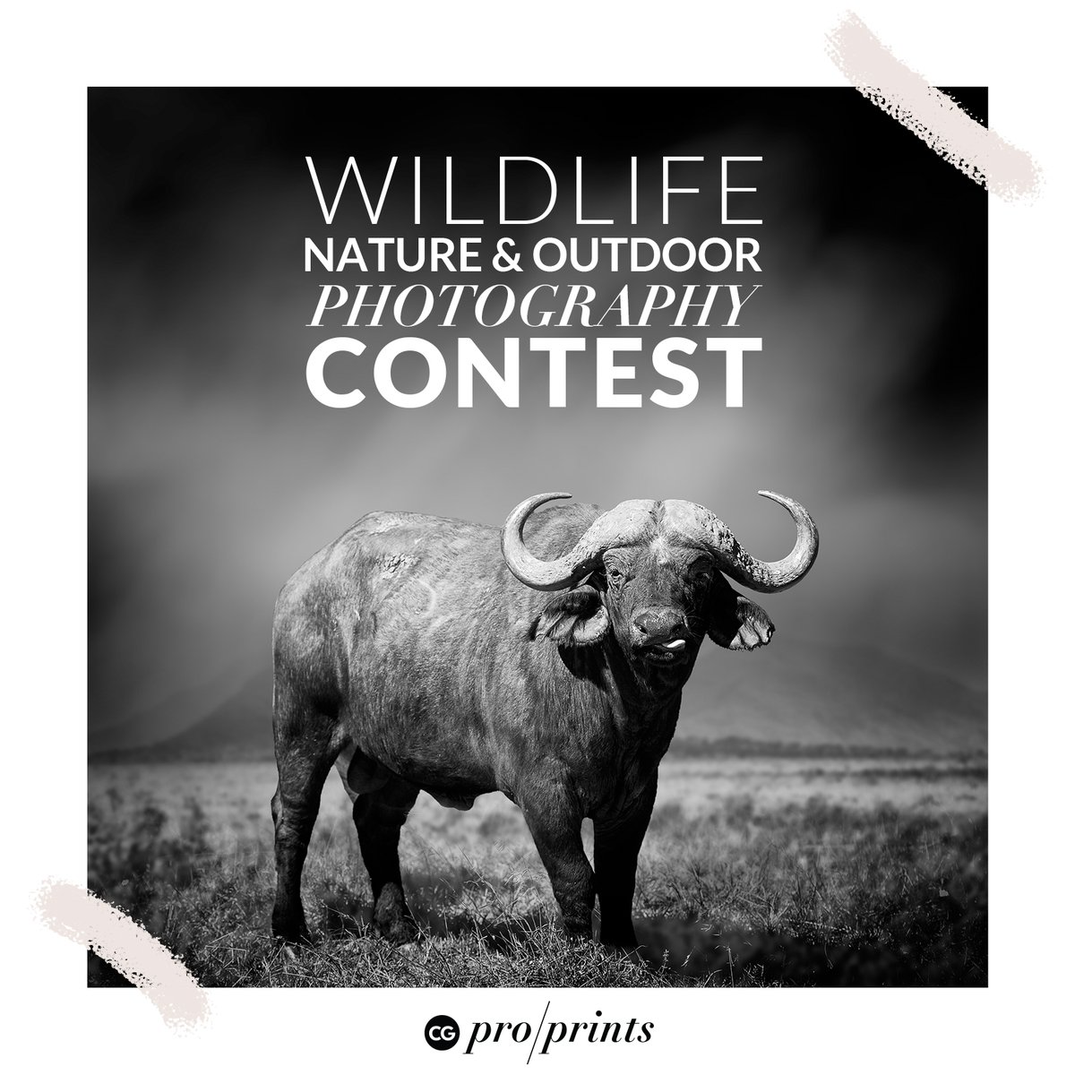 OUTDOOR, WILDLIFE, NATURE
- Photography Contest - 
Win up to $1000 in CGProPrint Credits
bit.ly/CGphotocontest