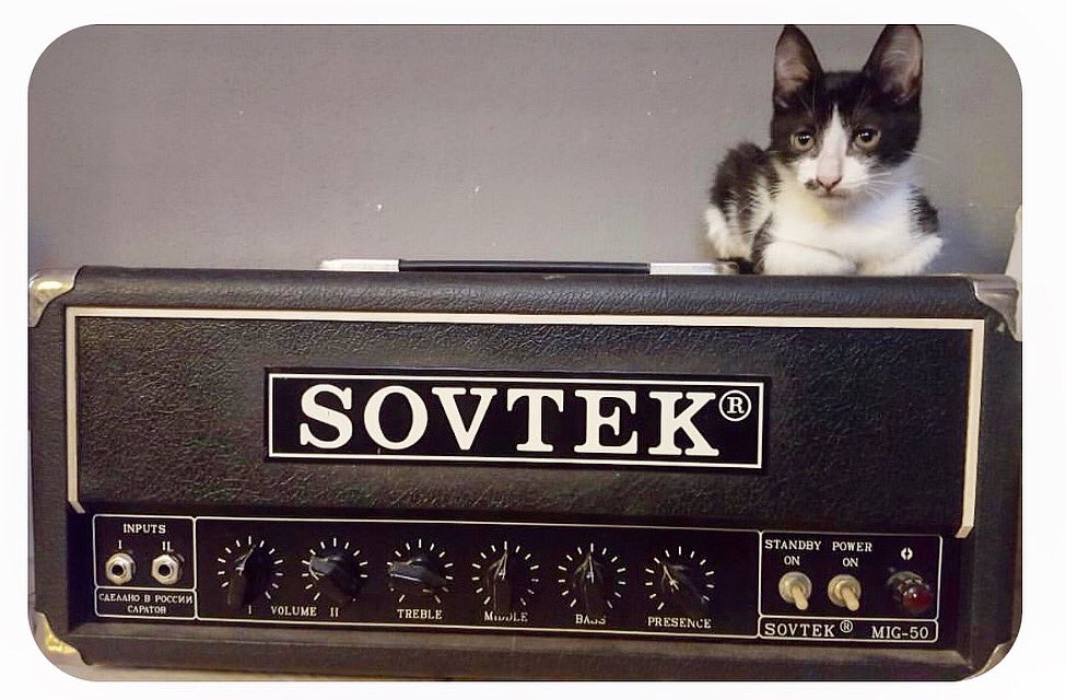 catsonamps's tweet image. Happy Friday afternoon, we’ve almost made it! Thank you @juli.marucci @sovtekfanclub @sovtekamplifiers #sovtek #cats #kitty #catlover #adoptdontshop #catsonamps
