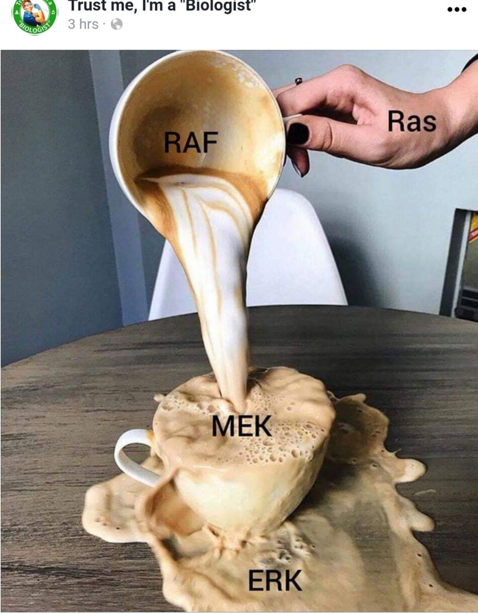 PatwalIndu's tweet photo. What a coincidence!
I see this just after teaching Signal Tranduction to 3rd years. I hope they can relate to it in a way https://t.co/dAjY88J3Us