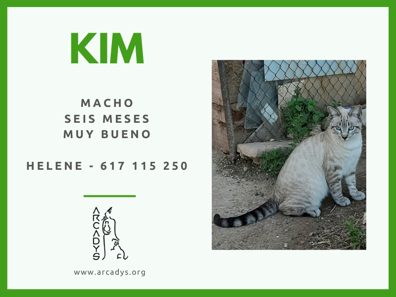 ¡¡Una familia Kim!! - arcadys.org/una-familia-ki…