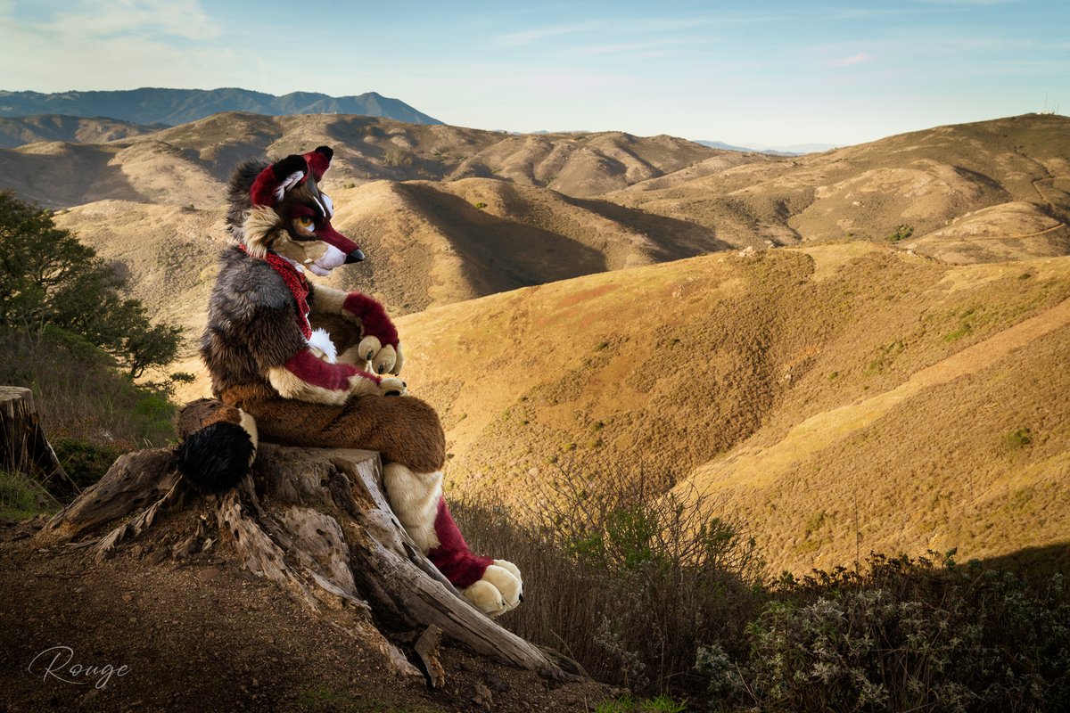 Rouge🔜FWA tweet media