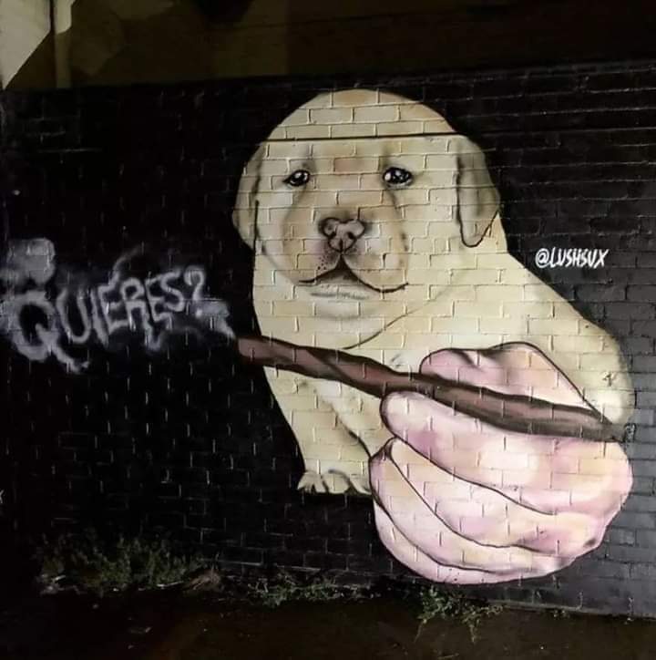 perfil criado para guardar mídias que acho top 🤝 (@chorastesklein) on Twitter photo 