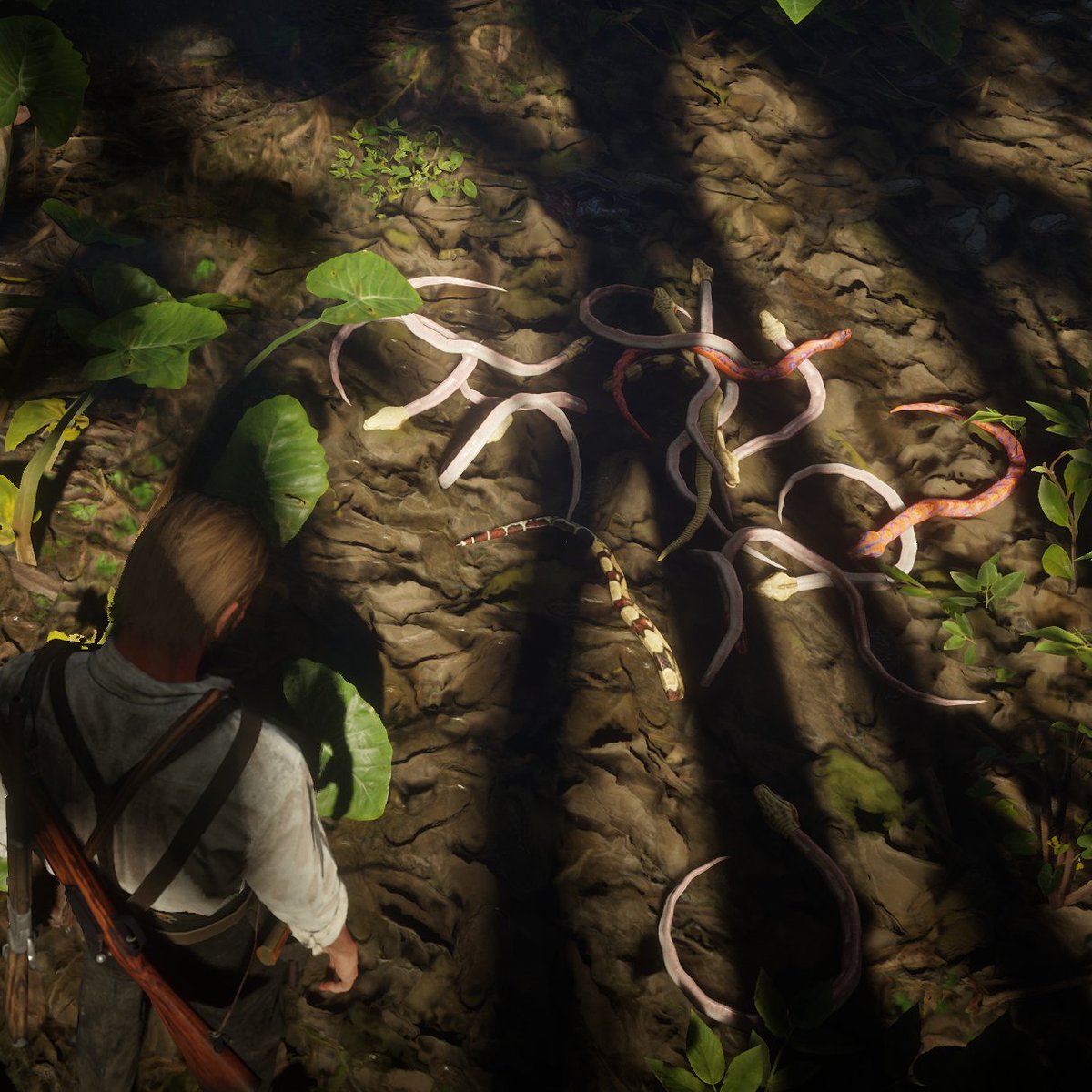AnnanasReality's tweet photo. TFW you spend two hours reloading the game so that you can discover every type of snake. #RDR2 https://t.co/1yHGZagcCK