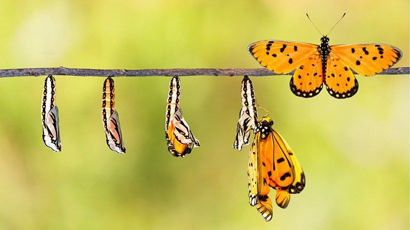 BillyMichaels's tweet photo. Corporate videos can really transform your workforce.  #creativedirector #videoproduction #videoproducer 
https://t.co/PMNfQxK7Ji https://t.co/4l8eJTC10Q