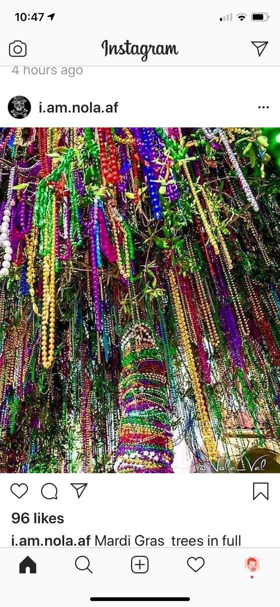 fqkidstours's tweet photo. Behold, the Mardi Gras tree. ￼#onlyinneworleans #mardigras #beadtree #frenchquartourkids https://t.co/YPS156JNfa