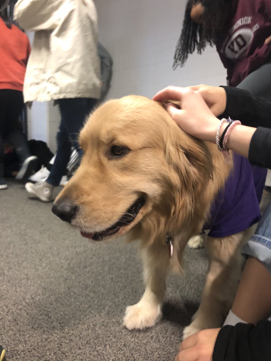 BHScopper's tweet photo. i loved getting to see everyone yesterday! come visit next time if you couldnt this time!💖🐾 https://t.co/iffVcTBxYZ