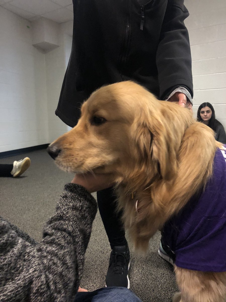 BHScopper's tweet photo. i loved getting to see everyone yesterday! come visit next time if you couldnt this time!💖🐾 https://t.co/iffVcTBxYZ