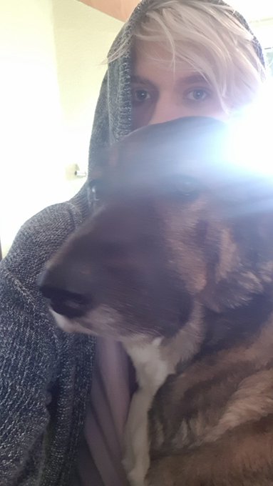 Doge https://t.co/RKwjfpOXWx