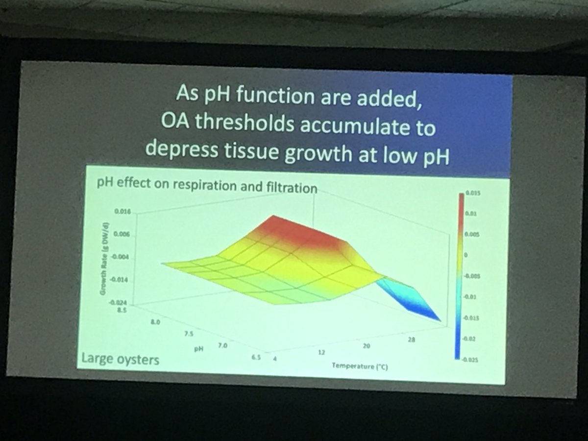 GDSchwieterman's tweet image. .@VIMS_News @EmilyBRivest found the impacts of pH on oyster growth rates are equivalent to a 10 degree temp decrease 😱This underscores the need for more research using pH levels common in today’s estuaries #OSM2020 #aslomp
