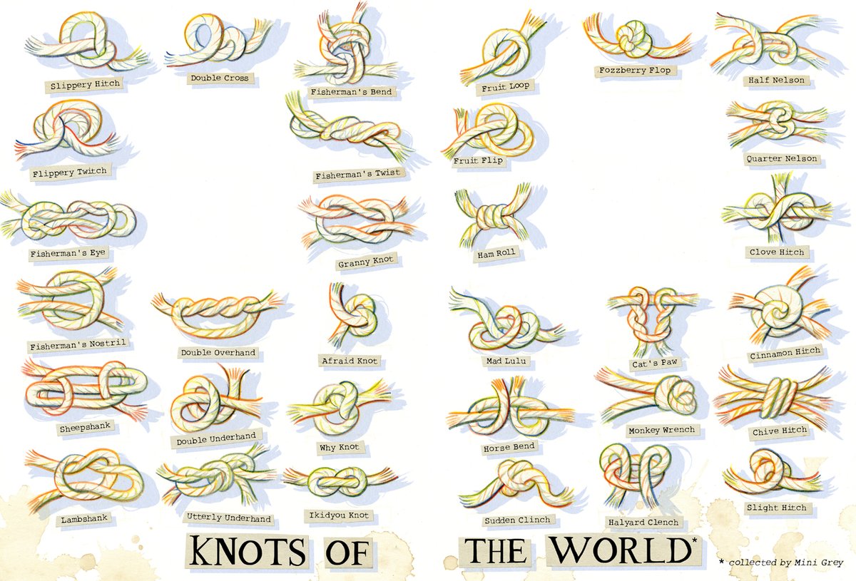 Mini Grey tweet media