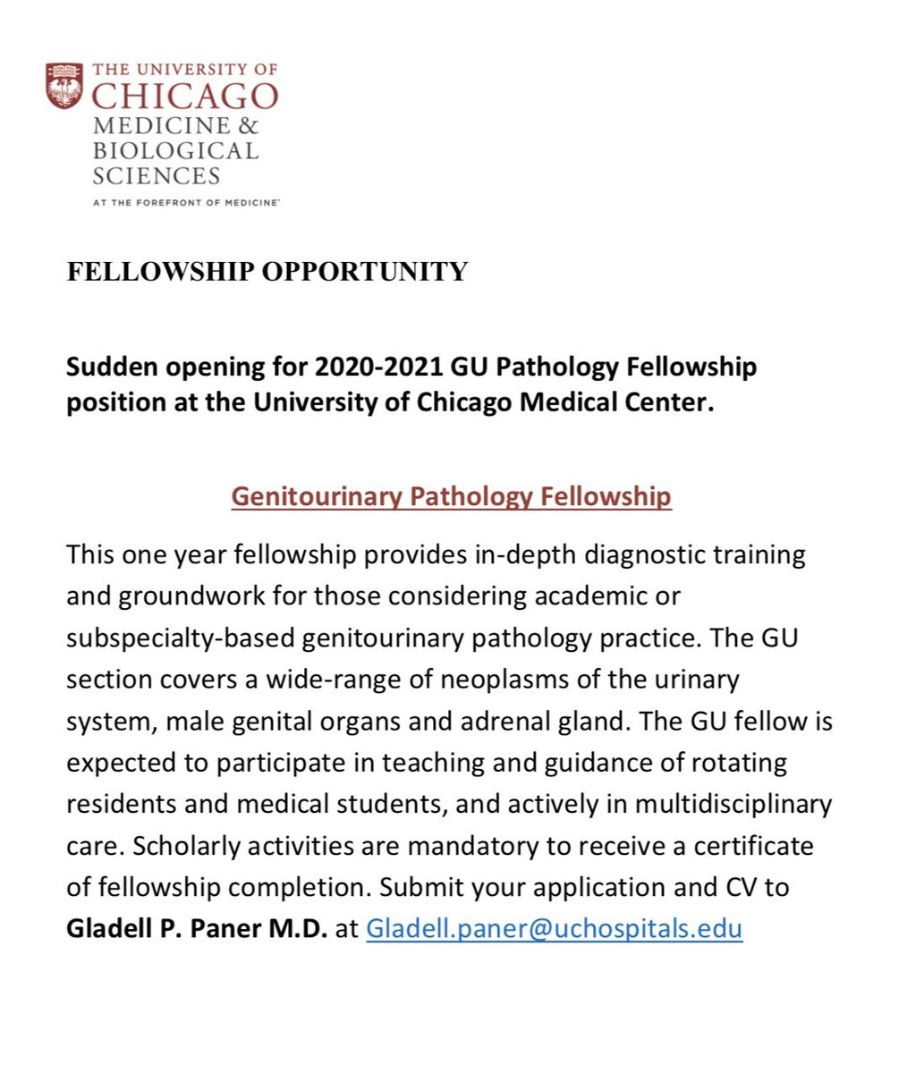 GladellPaner's tweet image. We have an unexpected opening for the 2020-2021 GU Pathology Fellowship position at the University of Chicago Medical Center. Please pass this information. #Pathology #PathologyResidents #PathologyFellowship #GUPath