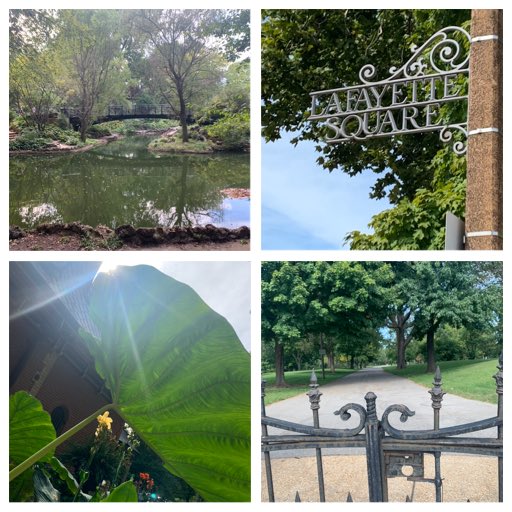 JenSparksArt's tweet photo. Made by Collage #lafayettesquare #stlparks #history #historicneighborhood https://t.co/yN9Zb4jCBl