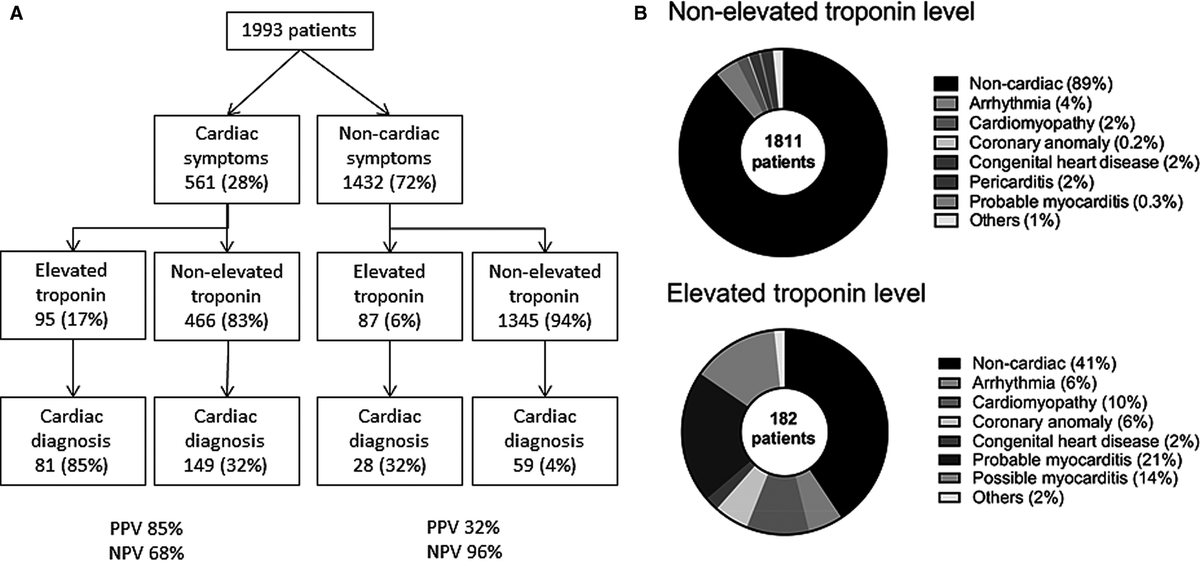 JAHA_AHA's tweet photo. #BriefCommunication Troponin testing could be useful to detect heart disease in children https://t.co/qx5enGd40t #AHAJournals https://t.co/sr1xEPCe27