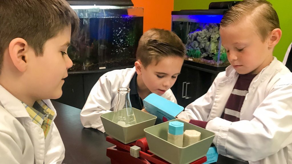 LCCSEagles's tweet photo. Kindergarten scientists determine mass using an equal arm balance. #lccseagles #froglab #science https://t.co/qAFOtSzzfu