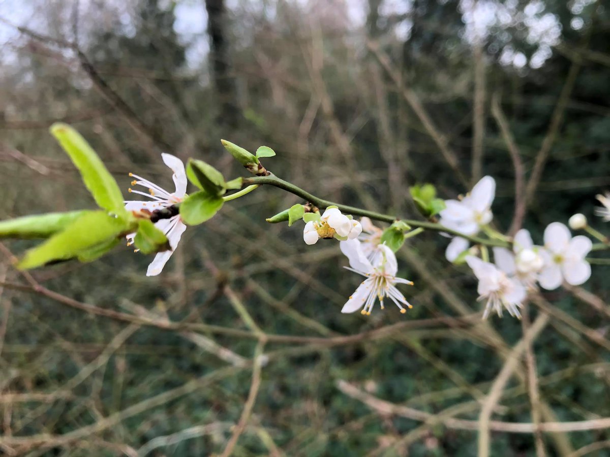 Onze Buitenruimte tweet media