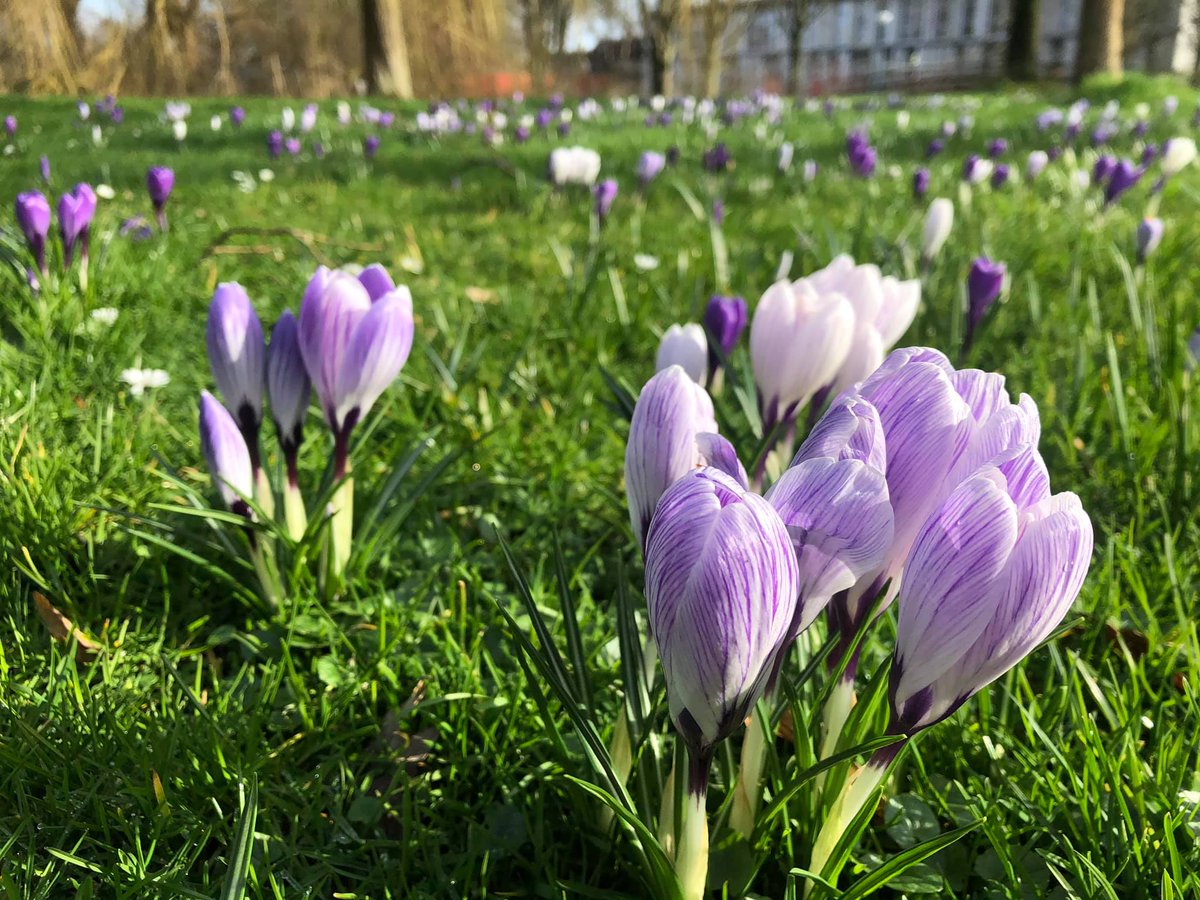 Onze Buitenruimte tweet media