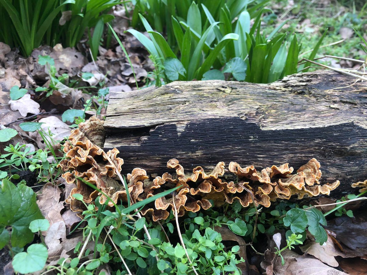 Mooi weer om het weekend mee in te gaan! #voorjaar #sightlandscaping #groenebelevenis <a href="/Gem_Leusden/">Gemeente Leusden</a>