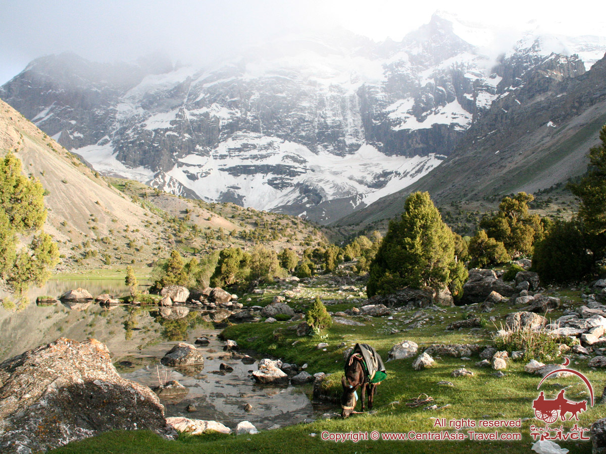 viajesporasia's tweet photo. 😜¡Las montañas Fann!#Trekking (#Pamir_Alay #Tayikistán)🌲🌲11🌞/10🌛🌲8 días / 7 noches🌲Dushanbé #Artuch #lagos: #Kulikalón #Alaudín #Mutnie #BolshoyeAllo #Samarcanda y #MÁS
💲1295USD📆Grpo№1.01.08-11.08.2020🌐https://t.co/SBbA8JfKzT📧espanol@centralasia-travel.com #CATravelES https://t.co/tpGsR0m21a