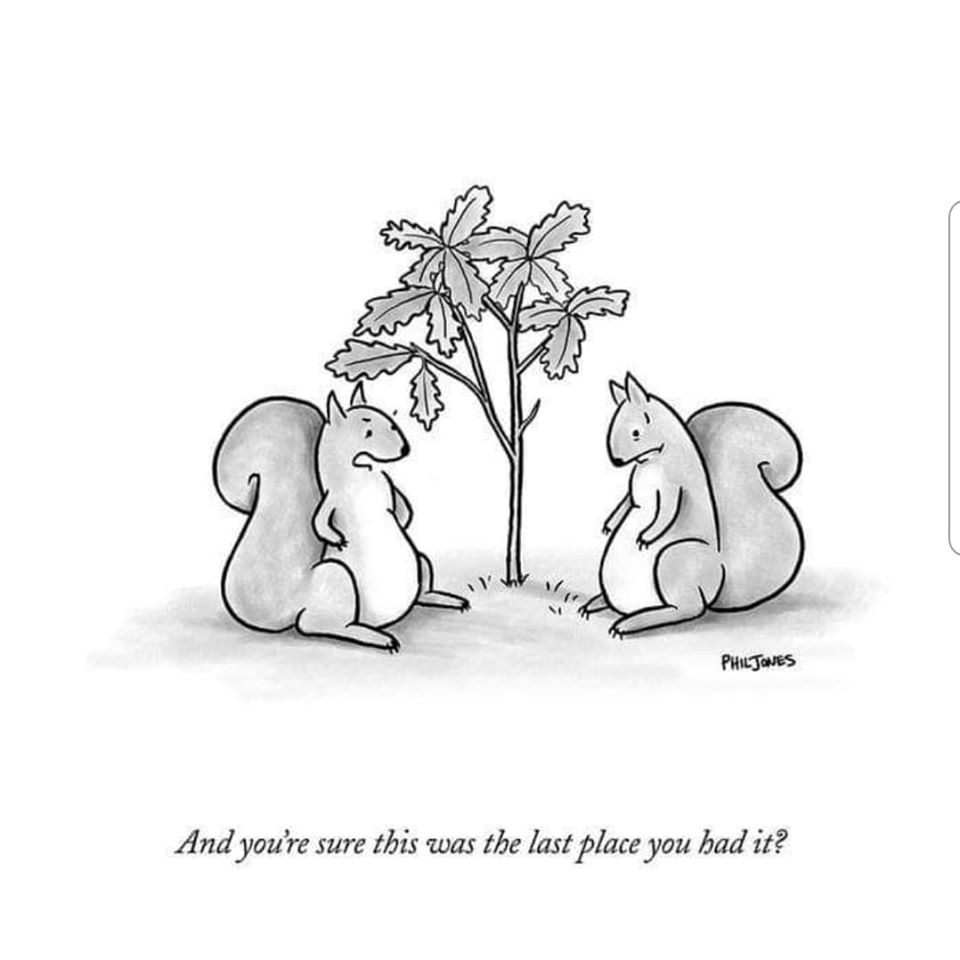 SquirrelPower's tweet image. Have a lovely weekend... whatever you're doing...