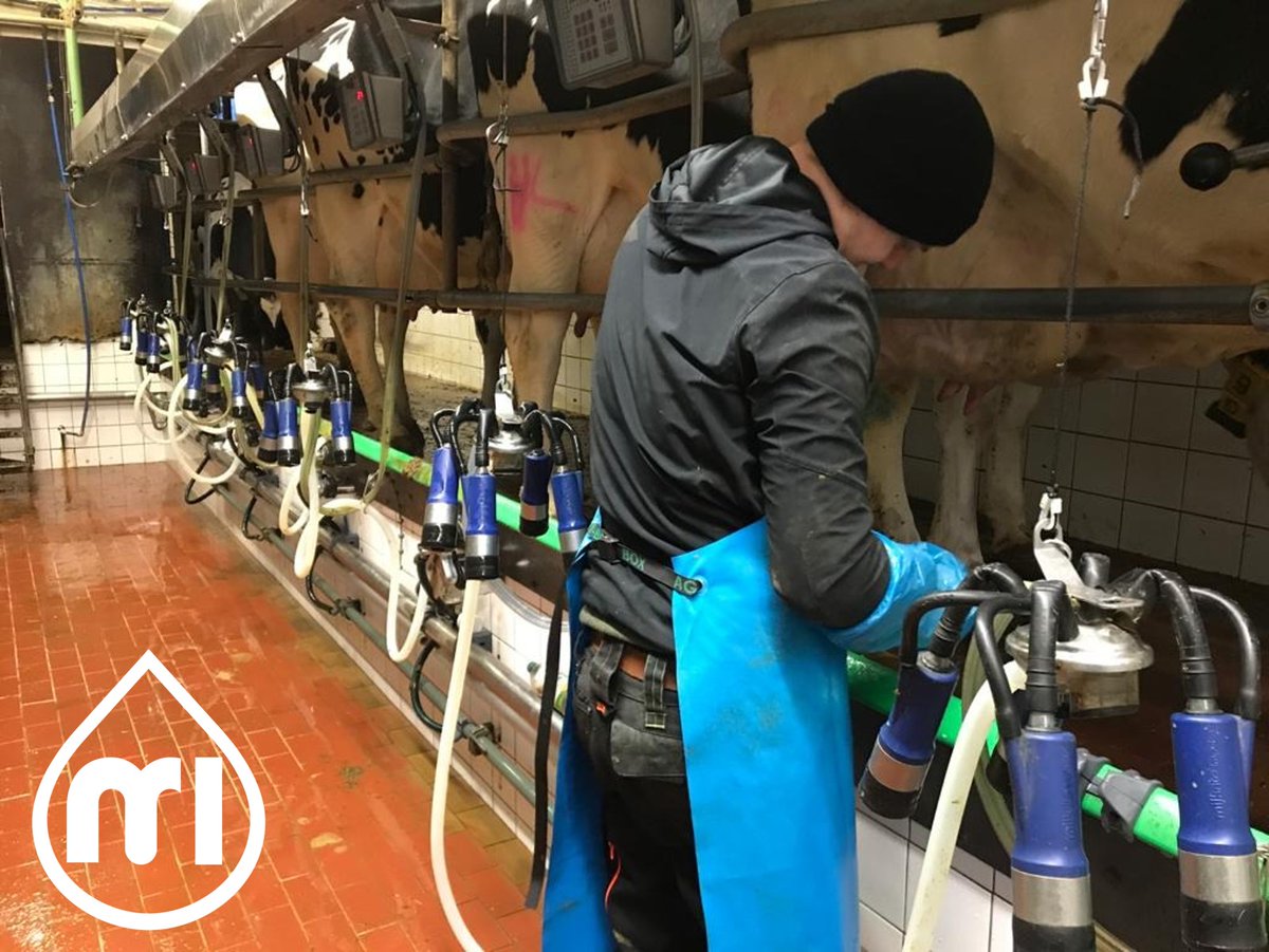 MR_ITP's tweet photo. Our German Sales Manager had a fantastic time on farm this morning on this parlour in Germany! If you are interested in any of our products or services get in touch via our website at: https://t.co/ZWXzcXSWk5
#ImprovingEveryFarmWeTouch #BuildingaBrighterFuture #ImpulseAir https://t.co/6s08saFAnW