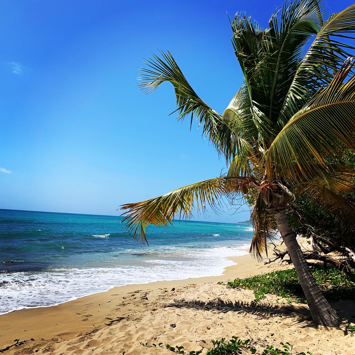 MaraRevkin's tweet image. At this rate, 2020 is going to be a very long year for anyone who cares about democracy, justice &amp;amp; human rights (+ a lot of other fundamental values that feel increasingly threatened). I recommend taking time off to recharge when you need it. Back to work soon! #EarlySpringBreak