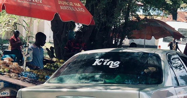 inesaking's tweet image. African Jungle King ift.tt/2wwx4tj