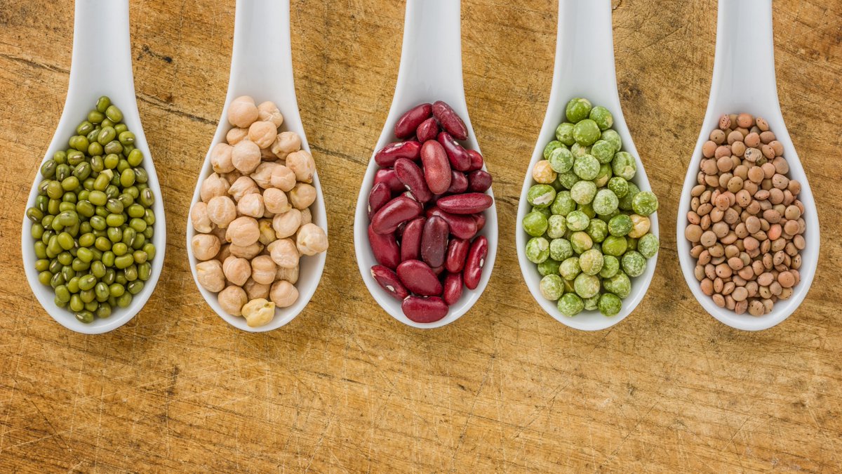 aicrtweets's tweet image. When you eat protein, the source of that protein can make a difference when it comes to #CancerPrevention. Learn why it's important to add plant-based 🌱 proteins into your diet: bit.ly/39MQN6q