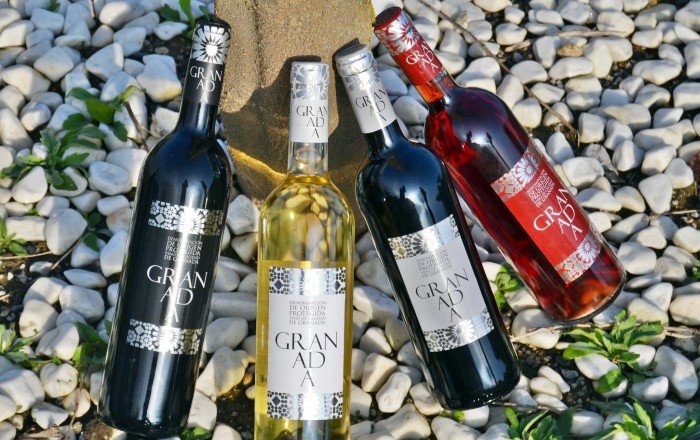 Vinetur (@vinetur) on Twitter photo Anota en la agenda: El próximo 16 de marzo el 1º Salón de vinos con DO Granada en Cata Ciega.
<a href="/vinosdegranada/">DOP Granada</a> hay que conocerlos
vinetur.com/2020022059407/… Anota en la agenda: El próximo 16 de marzo el 1º Salón de vinos con DO Granada en Cata Ciega.
<a href="/vinosdegranada/">DOP Granada</a> hay que conocerlos
vinetur.com/2020022059407/…