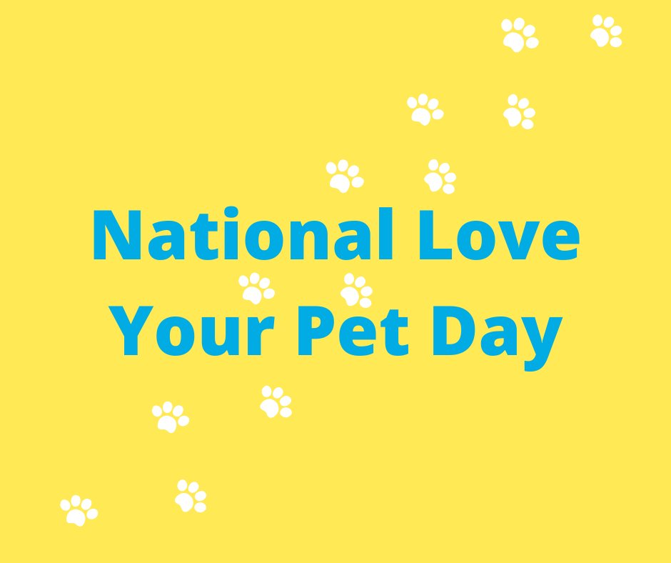 Dishmatic tweet media