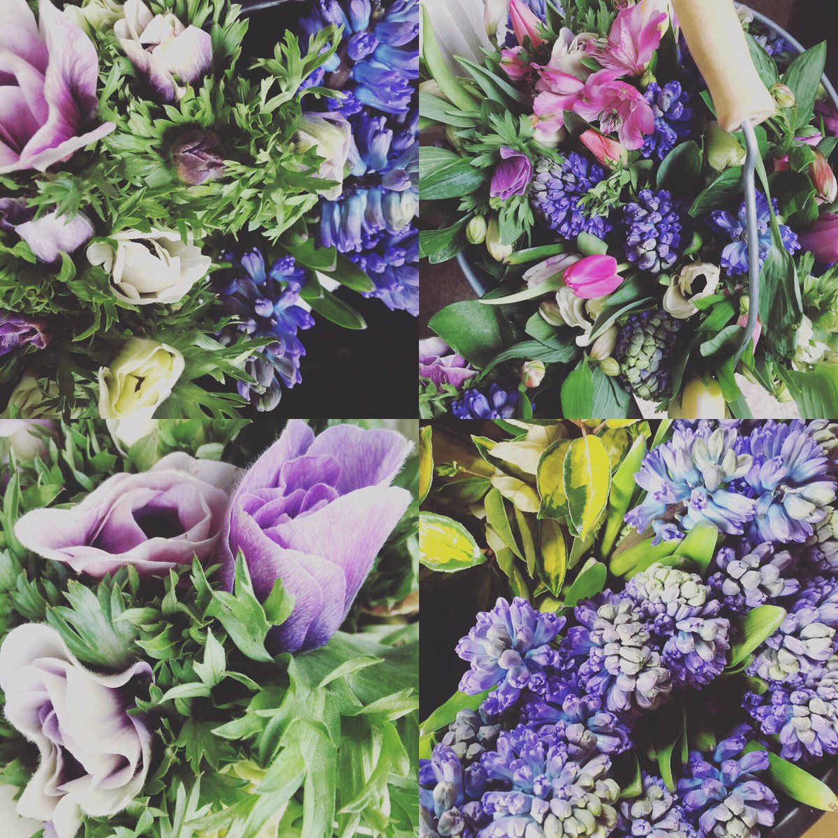 We’re back <a href="/Whiteladiesrd/">Whiteladies Market</a> tomorrow 8.30-2.00 with spring blooms to brighten the grey.