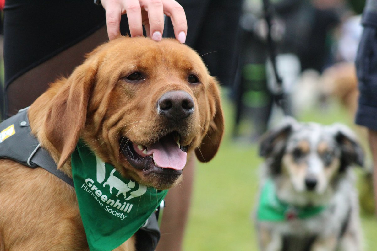 greenhill animal shelter