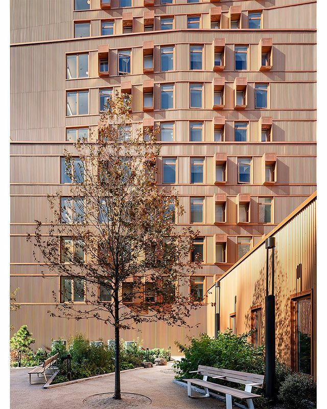 alex_severin's tweet photo. Stepping into the courtyards of Tres Puentes West, shifting orange planes overwhelm the senses. 
Designed by @sgvarchitects.
Built by @procidacompanies.
Landscape by @jpla.design.
#garden #courtyard #design #architecture #architecturaldesign #landscape #affordablehousing #se… https://t.co/YiwLmNTA2T