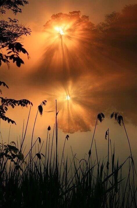 man_dares's tweet photo. "I love you:
Official statement of making you understand that there is a being essential to your life... https://t.co/ntWV96V4oj