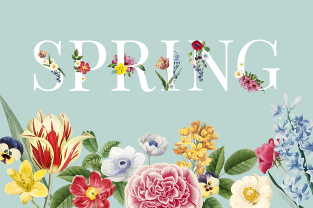 digi_trendy's tweet photo. Spring floral vector Free Vector

#springvector #freevector #freebie #floralvector 

https://t.co/QnAcU6iKAW https://t.co/cvQc26ezGQ