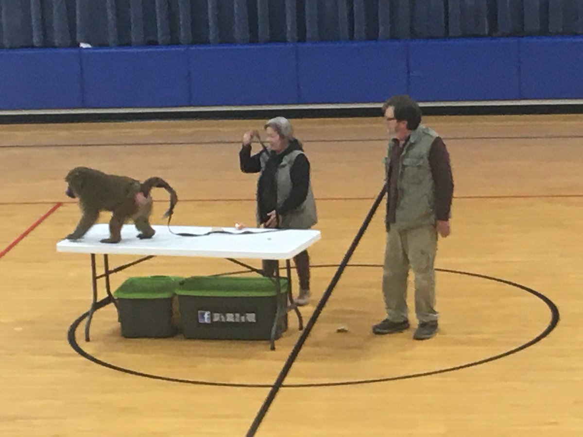 rknerr2's tweet photo. Larry Battson brought some wild animals to EPS today.  We loved seeing so many animals because we have been reading about them in class. https://t.co/4WefgbBqkh