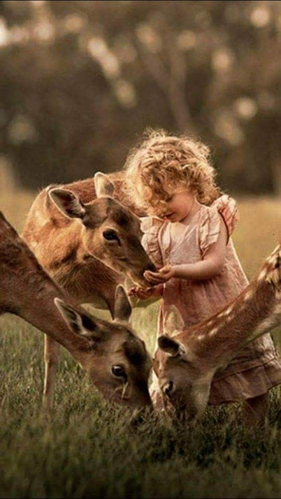 Justice_Seeker5's tweet photo. You see in 
       the world 
               what you
                        carry in 
                                your 
                                   heart. https://t.co/dAcy0lsqoa