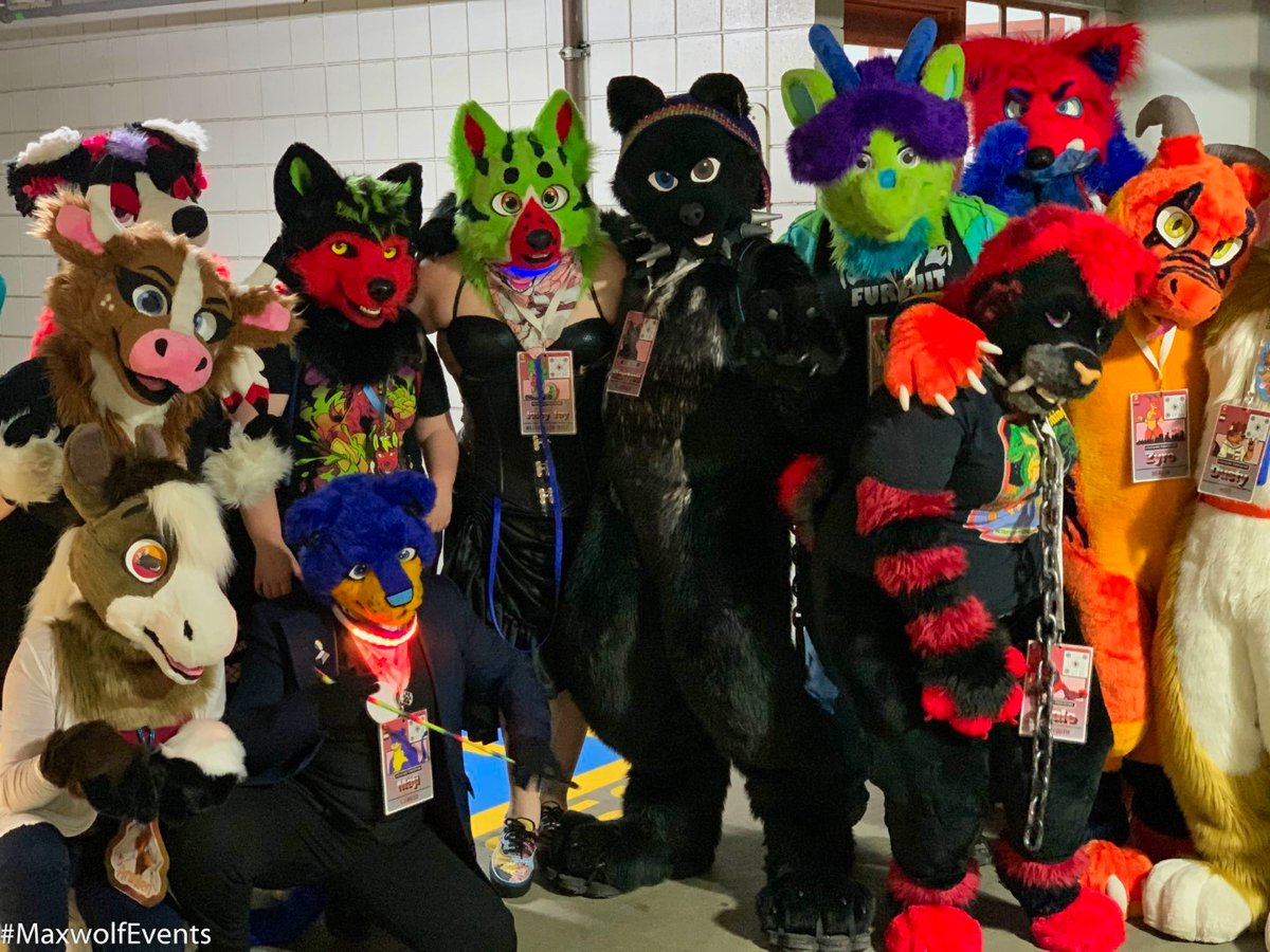 BigMaxwolf's tweet photo. Squad Goals

📸 @FoxCouncil

#FursuitFriday #MaxwolfEvents https://t.co/2BX14fNqtj