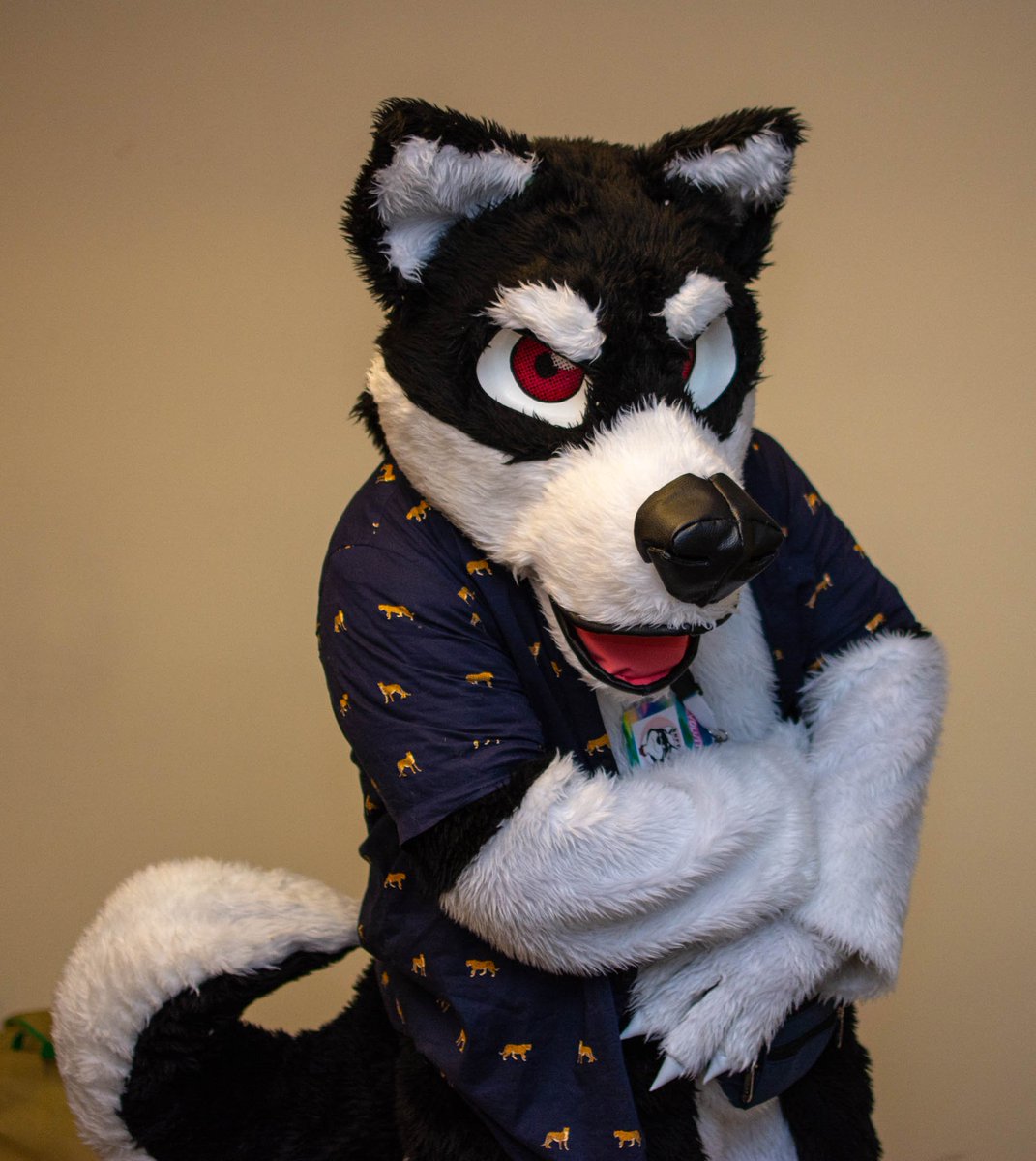 BleisutHund's tweet photo. This #FursuitFriday, some cool photos from #RFFC2020, taken by the talented @FlaxRai , one of the official photographers of the mini con. You should check his material, specially the videos!

#Furry #Fursona #Fursuit #Fursuiter #RFFC #FurryFriday https://t.co/lH5KhcJlAY