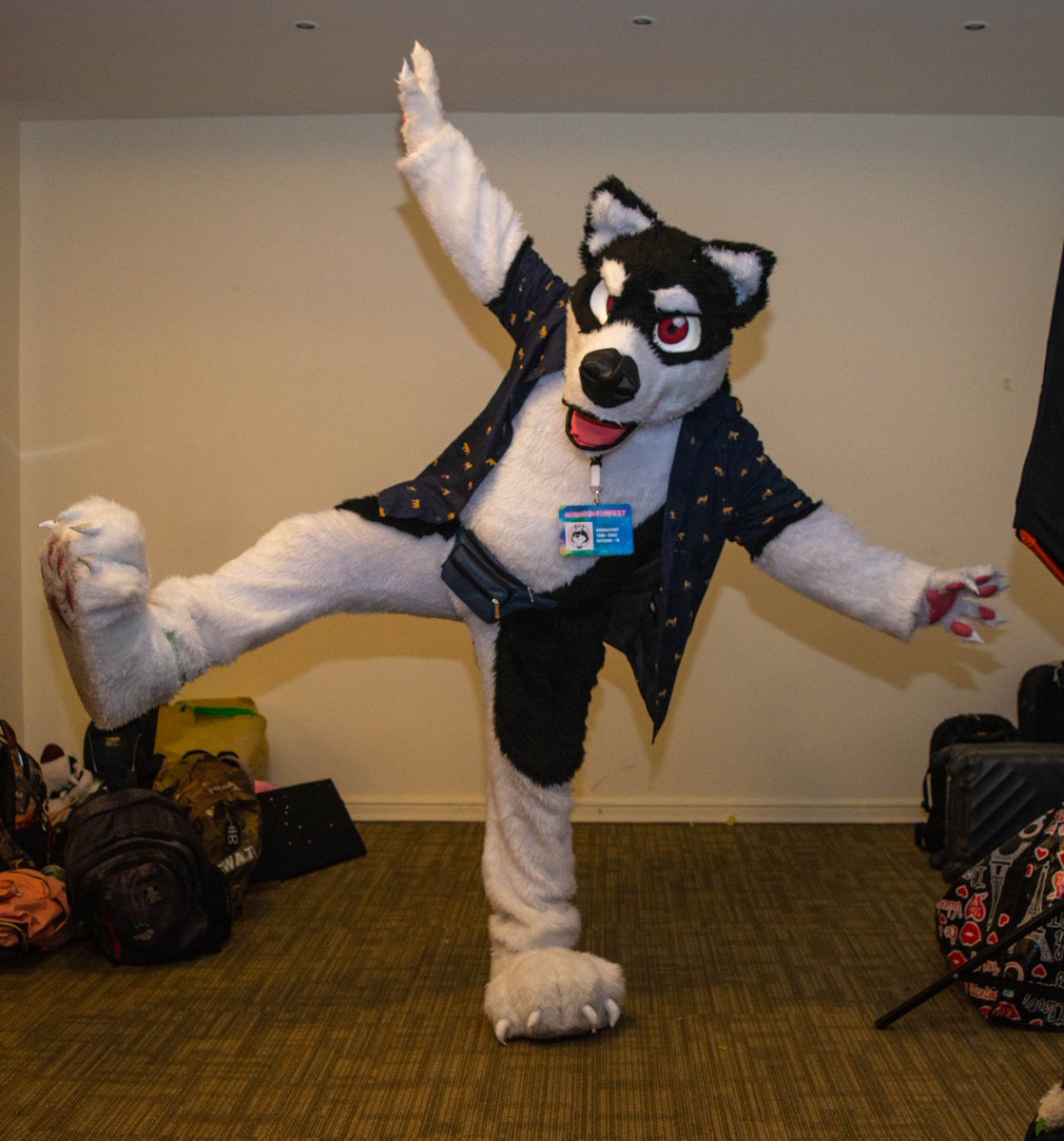 BleisutHund's tweet photo. This #FursuitFriday, some cool photos from #RFFC2020, taken by the talented @FlaxRai , one of the official photographers of the mini con. You should check his material, specially the videos!

#Furry #Fursona #Fursuit #Fursuiter #RFFC #FurryFriday https://t.co/lH5KhcJlAY
