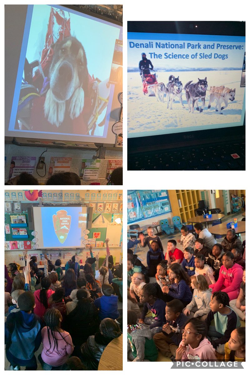 Second grade got together to learn more about how sled dogs adapt to their climate! Thanks to Denali National Park for the awesome “zoom” meeting! <a href="/PLVBears/">Pleasantville Elementary</a> #polarpride 🐶❄️
