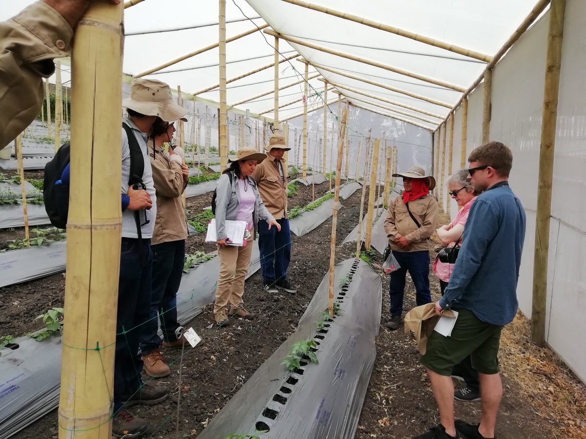 Sarah Dyer tweet media